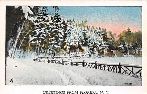 Florida, New York Kartpostalı