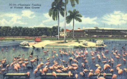 Hialeah, Florida Kartpostalı