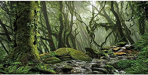 AWERT Sisli Orman Teraryum Arka Plan Akışı Yeşil Büyük Ağaç Sürüngen Habitat Arka Plan Tropikal Yağmur Ormanları Akvaryum