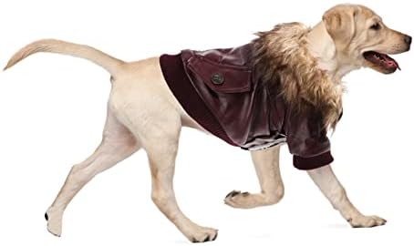 Ipetboom Sıcak Köpek Ceket kışlık ceketler Köpek Kıyafetleri Kadınlar için sıcak Mont Kış Köpek Elbise Sıcak Köpek