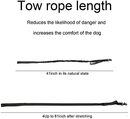 Nuatpetin Taktik Köpek Tasması ve Lessh Seti, Çift Saplı Bungee'li Büyük Köpekler için Ayarlanabilir Askeri Eğitim