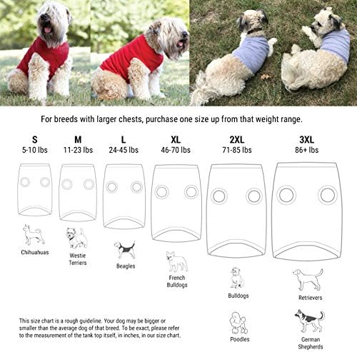 Maske Takmama Gerek Yok Ama Sen Yapmalısın Köpek Tişörtü: Köpek Tişört