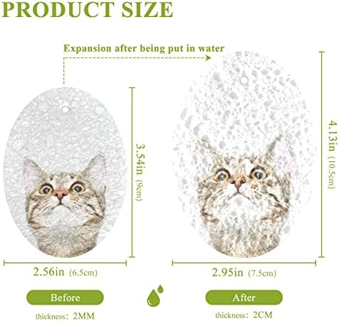 ALAZA Meraklı Kedi Yüz Görünümlü Doğal Sünger Mutfak Selüloz Süngerleri Bulaşık Yıkama Banyo ve Ev Temizliği için,