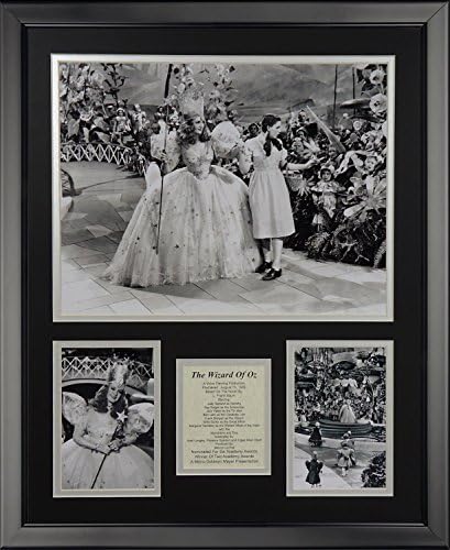 Efsaneler Asla Ölmez Oz Büyücüsü Glinda Çerçeveli Fotoğraf Kolajı, 16 x 20
