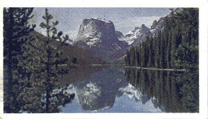 Bridger Ulusal Ormanı, Wyoming Kartpostalı