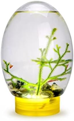 Mini Balık Tankı Ecosphere Kapalı Sucul Ekosistem Masaüstü Akvaryum Led Döner Sarı Taban, Mini Balık Tankı
