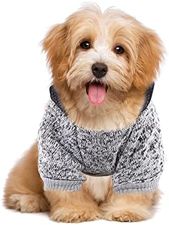 Küçük Köpek Elbise Kazak Pet Sonbahar ve Kış Kazak Eşleştirme Kapşonlu İki Bacaklı Polar Sıcak Cep Giyim Ekstra Küçük