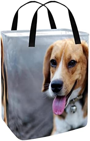 Kapotofu Çamaşır Sepeti Kolu ile, Beagle Köpek Oturur Yol Sevimli Katlanabilir Büyük Pamuk Depolama Sepeti Giysi için