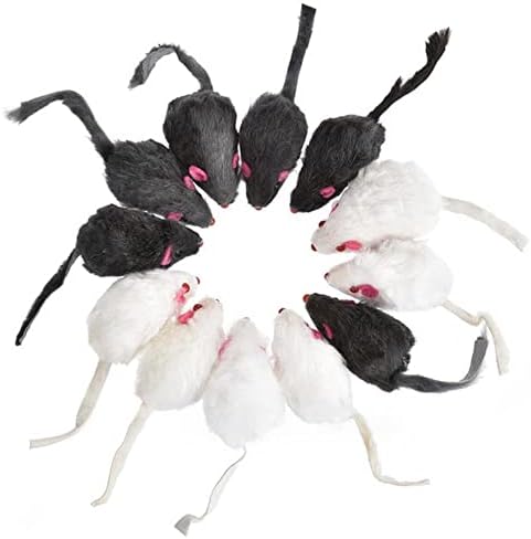 OALLK 12 ADET Kedi Oyuncak Fare Karışık Yüklü Siyah Beyaz Fare Oyuncaklar Kedi Teaser Kitty Yavru Komik Ses Gıcırtılı